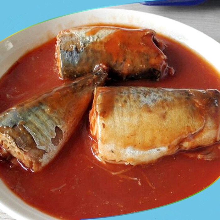 canned mackerel in tomato sauce